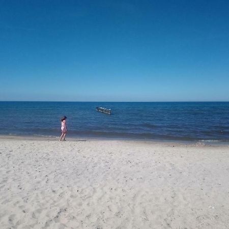 Morze I Las Dziwnowek Bagian luar foto